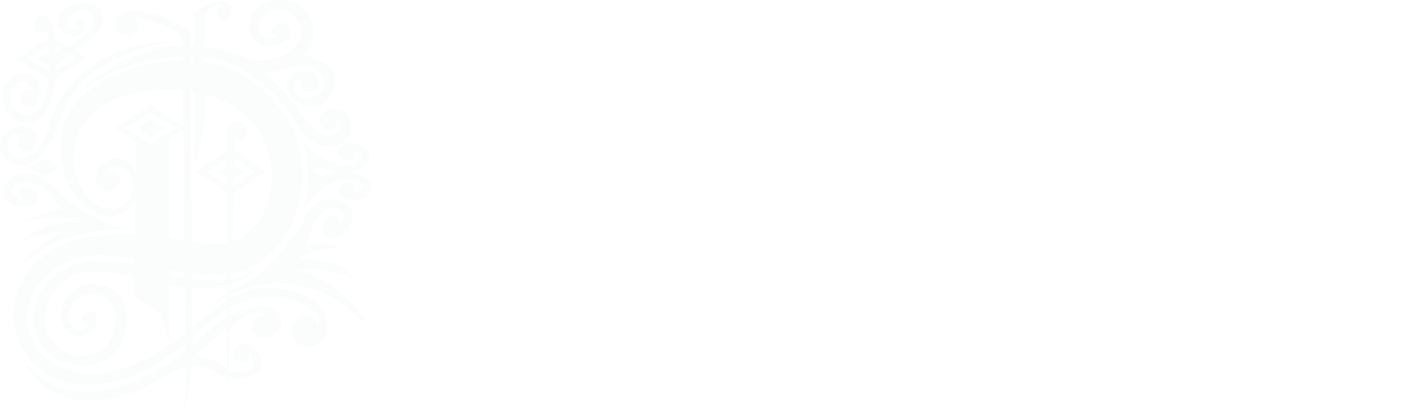 Delta Sierra Designs